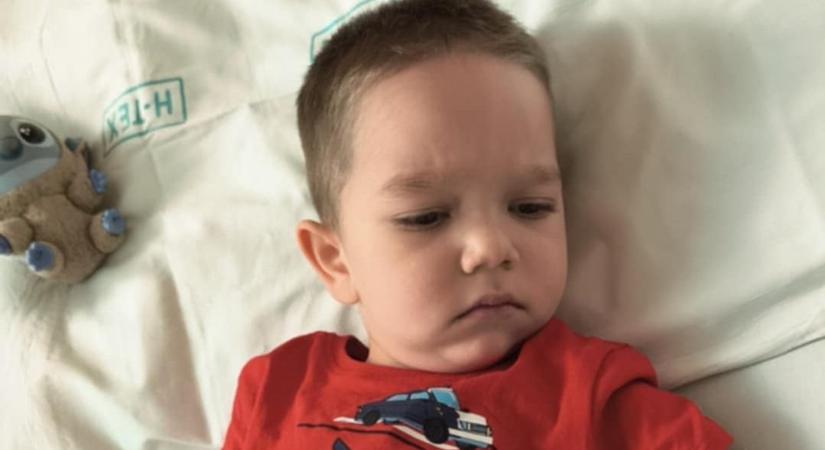 „Amikor láttam a szemében a csillogást, tudtam, hogy megérte minden küzdelem” – megtörtént a csoda, Zente kiszabadult a négy fal fogságából