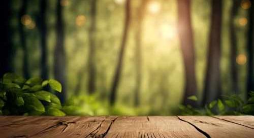 Bővül a hazai erdőállomány az MBH Bank támogatásának köszönhetően