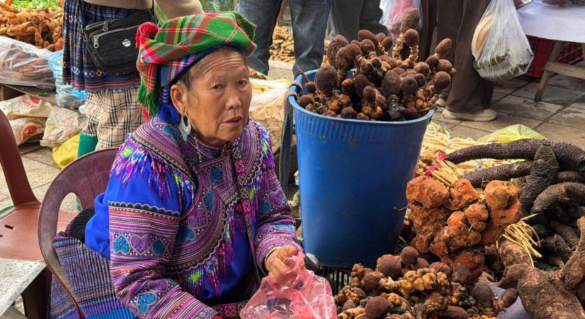 Sült kutyafej és bizarr csemegék: sokkoló videót osztott meg a kaposvári fotós
