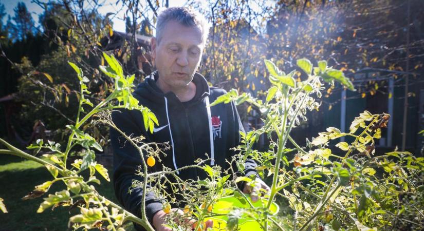 Sokkoló, mit találhatsz a hétvégi telkeden tavasszal – erre senki nem készül!