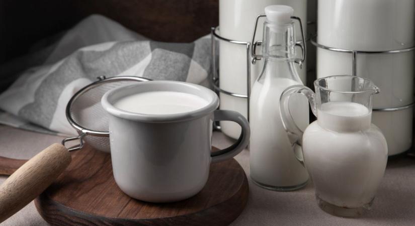 Meddig eshet még a tej ára? Tartós nyomás alá került a magyar tejágazat