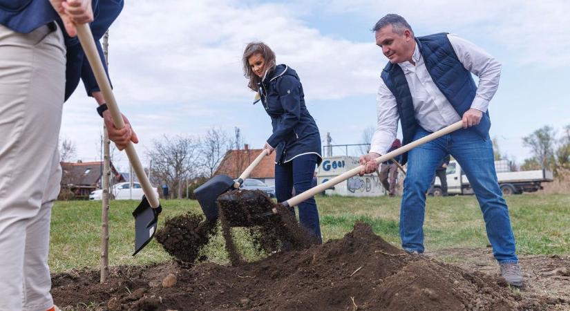 Lényeges a környezetvédelem, de megvalósítható stratégiára van szükség álomképek helyett