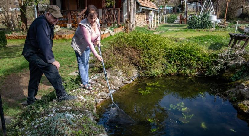 Ásó, kapa, gereblye 156. - Kikelet Látóhegyen