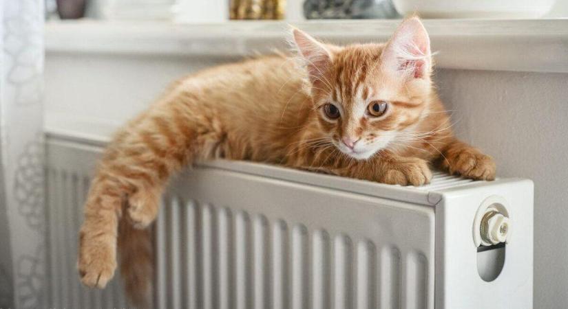 Bejelentették: március 21-étől érkeznek a rezsistop-kedvezményt tartalmazó számlák