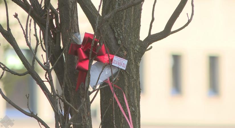 Verselj Győr! – költészettel a mosolyért