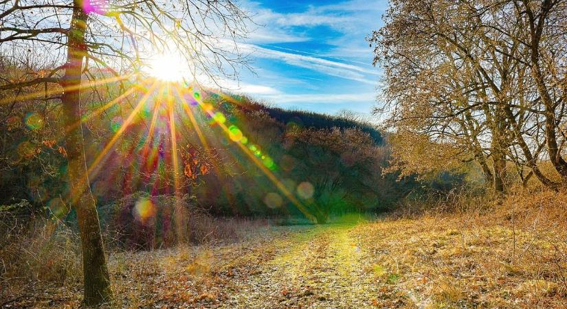 Egyetlen rossz mozdulat az életébe kerülhet! Ne nyúljon hozzá, amíg ezt nem ellenőrizte