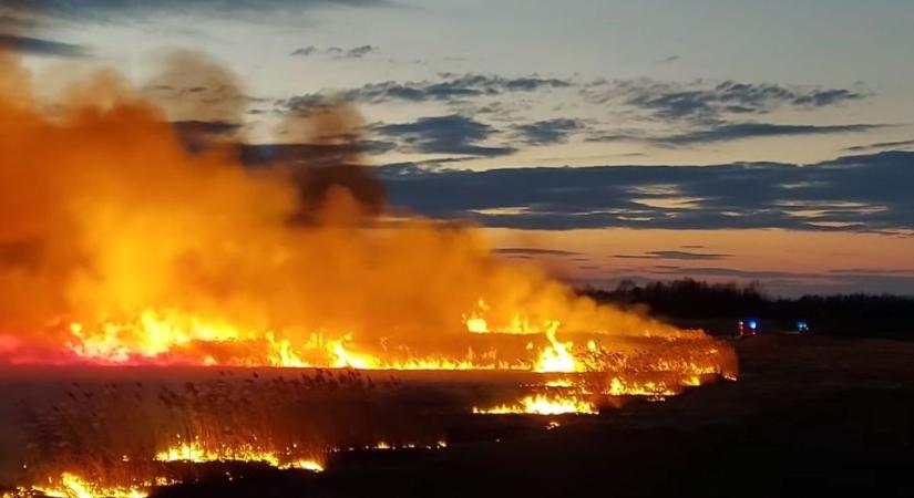 Videón a Tisza-tónál pusztító tűzvész