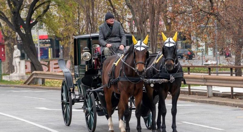 Összerogyott egy ló a belvárosban – leállították a forgalmat