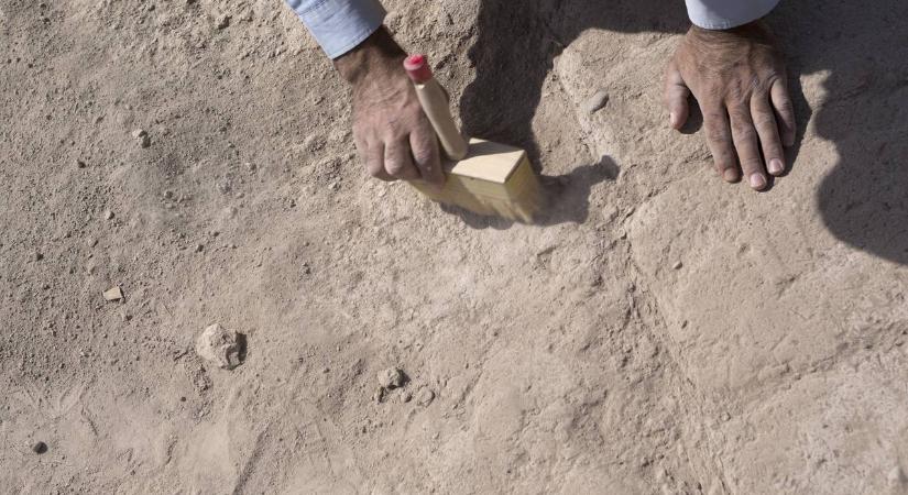 Megakadt szántás közben az eke, felbecsülhetetlen kincs került elő a földből