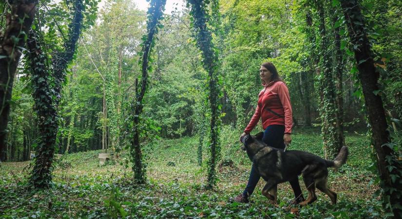Kintre, vagy bentre tervezze a szombati programot? Mutatjuk, milyen lesz a holnapi időjárás Hevesben