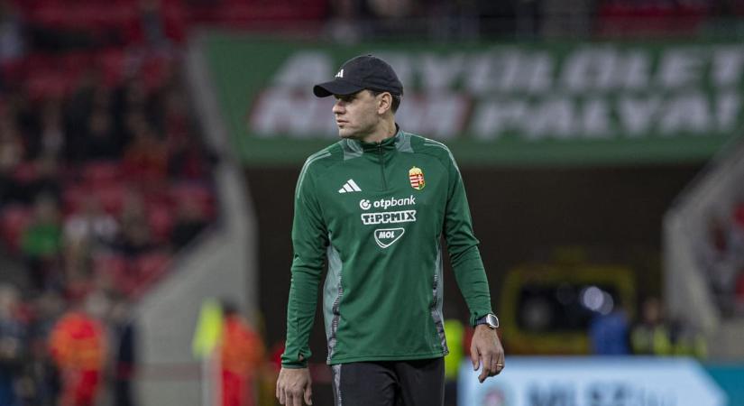 Szalai Ádámot az MLSZ alelnökévé választották