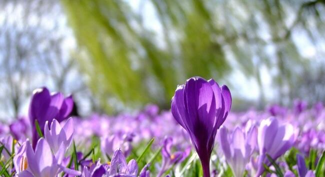 Időjárás-előrejelzés szombatra - Kiderül, meghozza-e a meleget Benedek