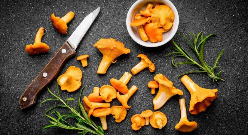 Tervezünk gombát vásárolni a közeljövőben? Akkor érdemes elolvasnunk ezt a friss hírt!