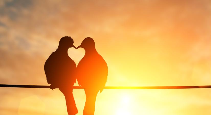 Heti szerelmi horoszkóp 2026. március 21-27: a Mars és a Jupiter fényszöge szerelmet és szenvedélyt hoz