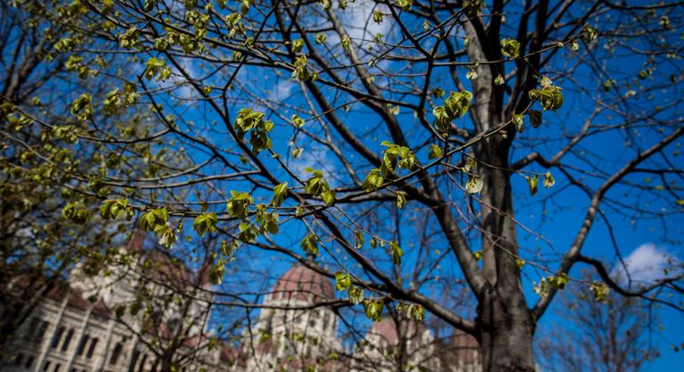 Felhőkkel és enyhe napsütéssel köszönt be a hétvége