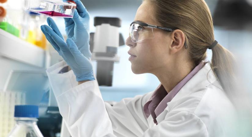 Savas vagy lúgos? Általános iskolás kvíz kémiából