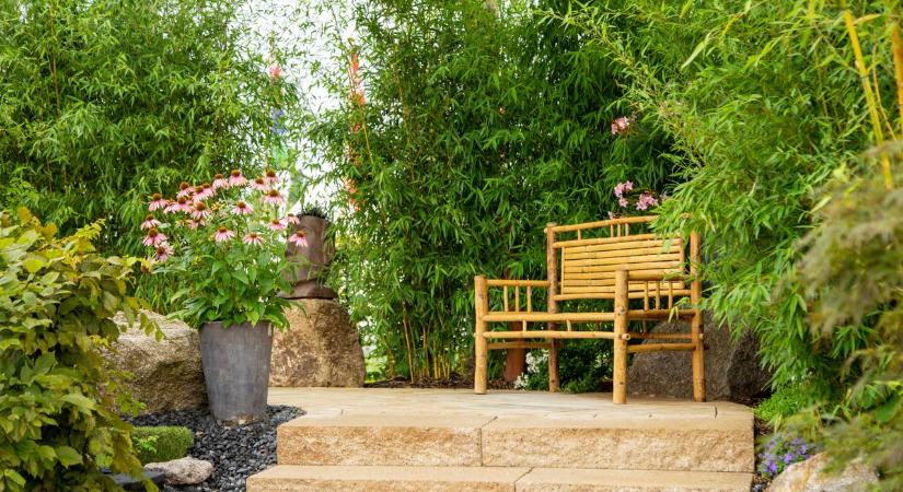 Soha ne ültess ilyen növényt a kertedbe – mindent tönkretesz