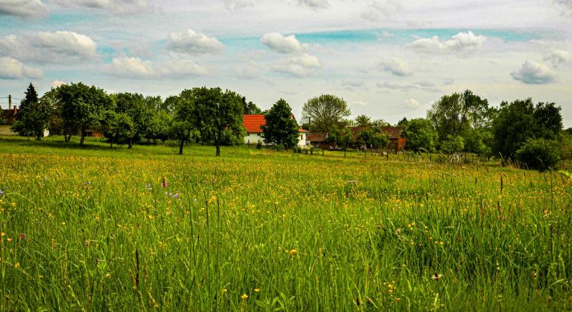 Ahol a rétek illata és a békés csend ejt rabul - feltöltődésre tökéletes választás