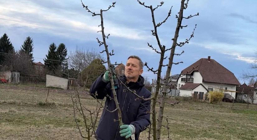 „A gyümölcsfák folyamatosan munkát adnak" - Vincze Ottó a saját kertjében kezdte a tavaszt