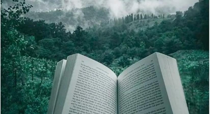 Könyvet írt a gyászról, miután kegyetlenül meggyilkolta a férjét egy nő