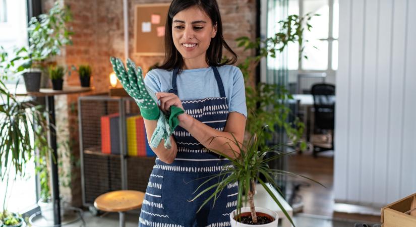 A szobanövényeidnek is tavasz van: 8 feladat, amit most kell elvégezned