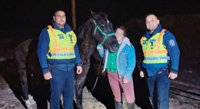 Elszökött egy ló Jászfényszaruról, a rendőrök Turán csípték el