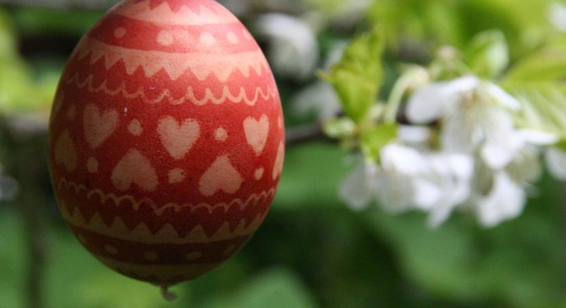 A hagymahéjtól a kurkumáig: növények vibráló színei a húsvéti tojásokon