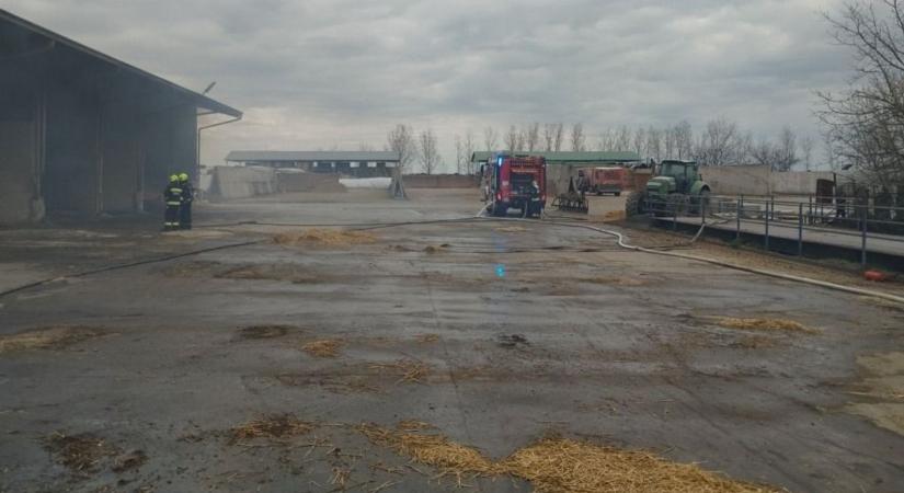 Helyreállításba kezdett a Milkmen Kft. a pusztahencsei tűzeset után – fotók a káreset helyszínéről