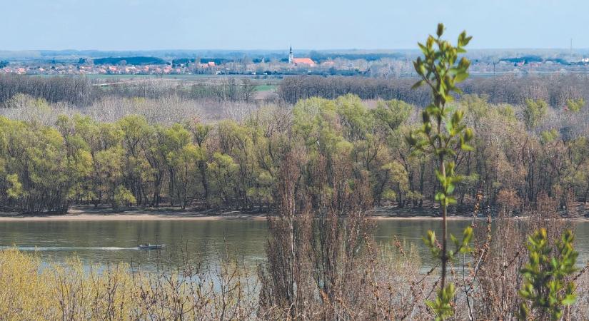 Egyre több mindent fed fel a Duna Dunaújvárosnál