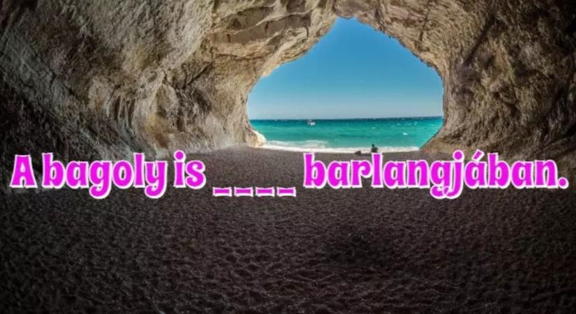 Közmondás feladat: A bagoly barlangja, avagy nagyszüleink kedvenc mondása az otthon hatalmáról.