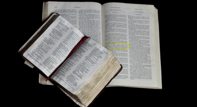 Rímek a kifutón: a költészet ma ismét meghódítja a világot