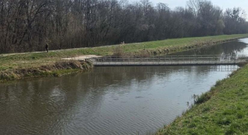 A halrács mellett “testőrök” és kamerák védik a Balaton gigapontyait