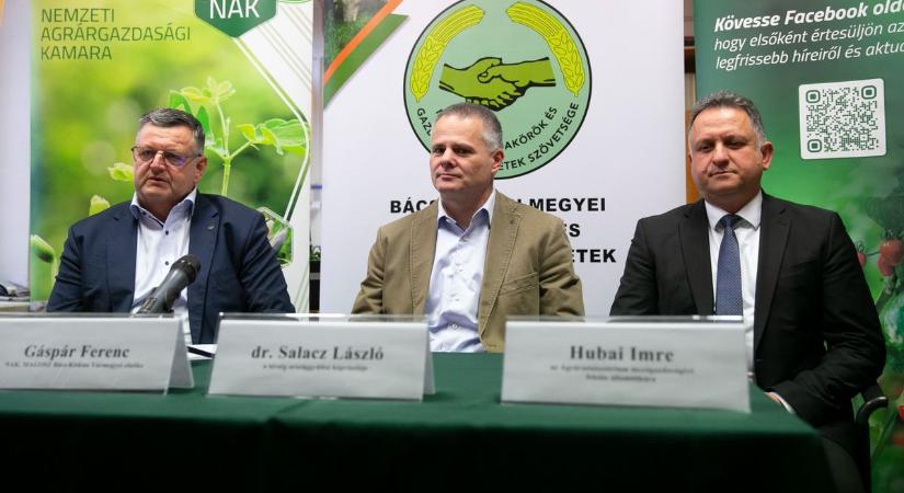 Nem csak a mezőgazdaságot érinti: ezért egyre fontosabb a vízmegtartás az otthonainkban is – fotók